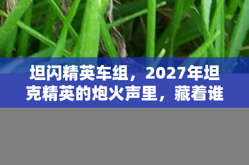 坦闪精英车组,2027年坦克精英的炮火声里,藏着谁没说完的再见,鼻子一酸 坦闪精英车组,2027年坦克精英的炮火声里,藏着谁没说完的再见,鼻子一酸