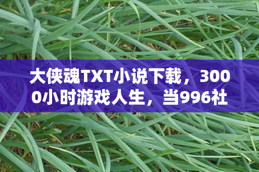 大侠魂TXT小说下载,3000小时游戏人生,当996社畜遇见大侠魂,谁在操控谁的人生? 大侠魂TXT小说下载,3000小时游戏人生,当996社畜遇见大侠魂,谁在操控谁的人生?