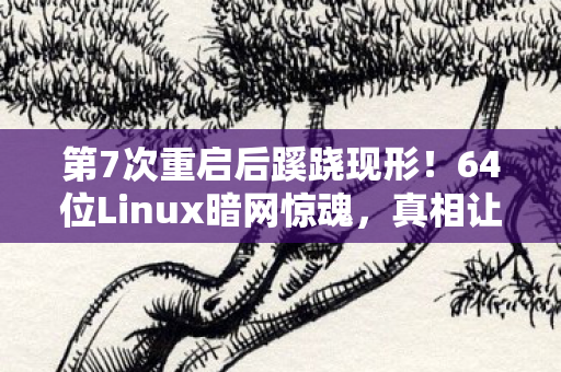 第7次重启后蹊跷现形！64位Linux暗网惊魂，真相让人后背发凉