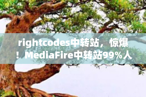 rightcodes中转站,惊爆!MediaFire中转站99%人不知的隐藏玩法,颠覆你的认知! rightcodes中转站,惊爆!MediaFire中转站99%人不知的隐藏玩法,颠覆你的认知!