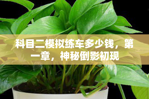 科目二模拟练车多少钱，第一章，神秘倒影初现