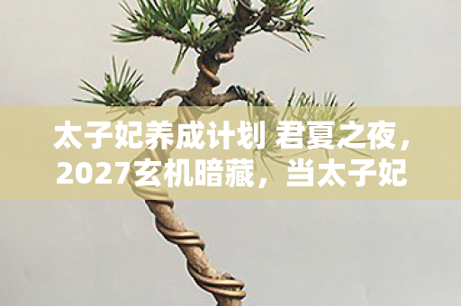 太子妃养成计划 君夏之夜,2027玄机暗藏,当太子妃养成计划的沉默按钮按下,我得到了什么? 太子妃养成计划 君夏之夜,2027玄机暗藏,当太子妃养成计划的沉默按钮按下,我得到了什么?