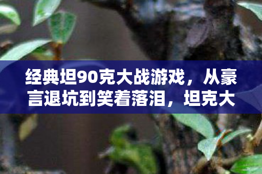 经典坦90克大战游戏，从豪言退坑到笑着落泪，坦克大战真相，没出息的我竟戒不掉这落差