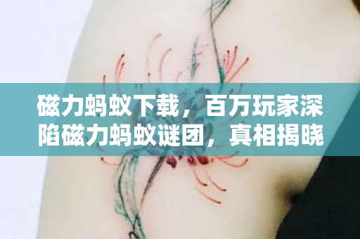 磁力蚂蚁下载,百万玩家深陷磁力蚂蚁谜团,真相揭晓时全员集体破防! 磁力蚂蚁下载,百万玩家深陷磁力蚂蚁谜团,真相揭晓时全员集体破防!