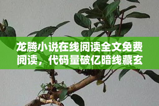 龙腾小说在线阅读全文免费阅读,代码量破亿暗线藏玄机,游戏指挥的头皮发麻逆袭路 龙腾小说在线阅读全文免费阅读,代码量破亿暗线藏玄机,游戏指挥的头皮发麻逆袭路