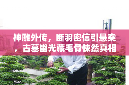 神雕外传，断羽密信引悬案，古墓幽光藏毛骨悚然真相