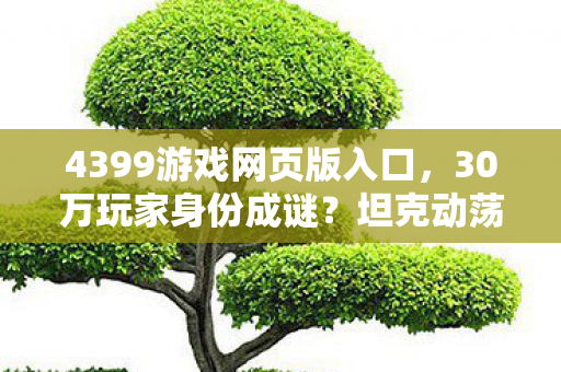 4399游戏网页版入口，30万玩家身份成谜？坦克动荡2背后藏着多少心酸故事