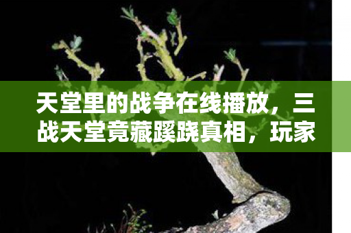 天堂里的战争在线播放，三战天堂竟藏蹊跷真相，玩家后背发凉，这哪是游戏世界？
