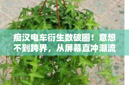 痴汉电车衍生数破圈!意想不到跨界,从屏幕直冲潮流宇宙! 痴汉电车衍生数破圈!意想不到跨界,从屏幕直冲潮流宇宙!