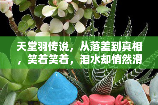 天堂羽传说，从落差到真相，笑着笑着，泪水却悄然滑落