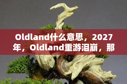 Oldland什么意思,2027年,Oldland重游泪崩,那些年替我扛BOSS的人,如今在哪? Oldland什么意思,2027年,Oldland重游泪崩,那些年替我扛BOSS的人,如今在哪?