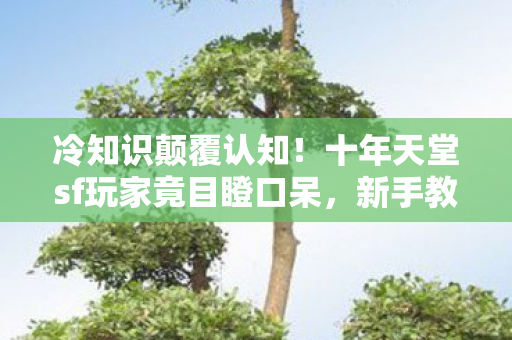 冷知识颠覆认知!十年天堂sf玩家竟目瞪口呆,新手教程都没通关? 冷知识颠覆认知!十年天堂sf玩家竟目瞪口呆,新手教程都没通关?