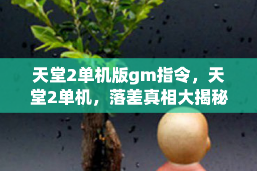 天堂2单机版gm指令,天堂2单机,落差真相大揭秘,笑着笑着,泪却悄然滑落 天堂2单机版gm指令,天堂2单机,落差真相大揭秘,笑着笑着,泪却悄然滑落