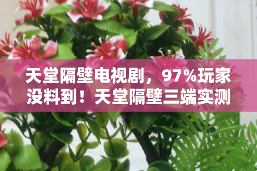 天堂隔壁电视剧，97%玩家没料到！天堂隔壁三端实测，手机搓屏竟比主机手柄还丝滑？