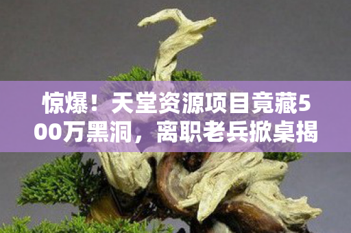 惊爆!天堂资源项目竟藏500万黑洞,离职老兵掀桌揭隐情,吓一跳! 惊爆!天堂资源项目竟藏500万黑洞,离职老兵掀桌揭隐情,吓一跳!