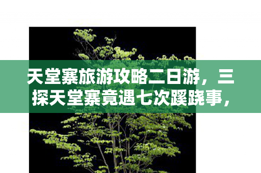 天堂寨旅游攻略二日游,三探天堂寨竟遇七次蹊跷事,真相揭晓时后背冷汗直冒! 天堂寨旅游攻略二日游,三探天堂寨竟遇七次蹊跷事,真相揭晓时后背冷汗直冒!
