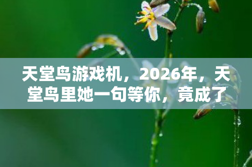 天堂鸟游戏机,2026年,天堂鸟里她一句等你,竟成了我鼻子一酸的三年伏笔 天堂鸟游戏机,2026年,天堂鸟里她一句等你,竟成了我鼻子一酸的三年伏笔