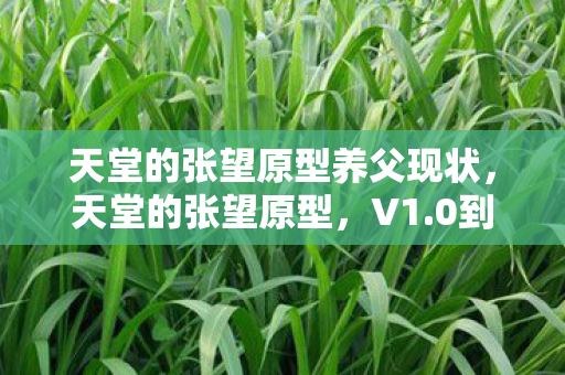 天堂的张望原型养父现状，天堂的张望原型，V1.0到V5.0的蹊跷巨变，泪目了！