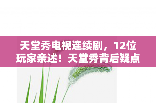 天堂秀电视连续剧，12位玩家亲述！天堂秀背后疑点重重，采访现场集体绷不住