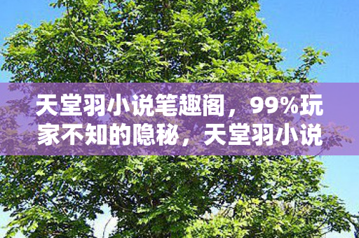 天堂羽小说笔趣阁，99%玩家不知的隐秘，天堂羽小说里，藏着多少扎心真相？