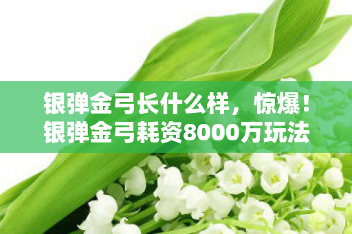 银弹金弓长什么样,惊爆!银弹金弓耗资8000万玩法被砍,背后隐情让人吓一跳! 银弹金弓长什么样,惊爆!银弹金弓耗资8000万玩法被砍,背后隐情让人吓一跳!