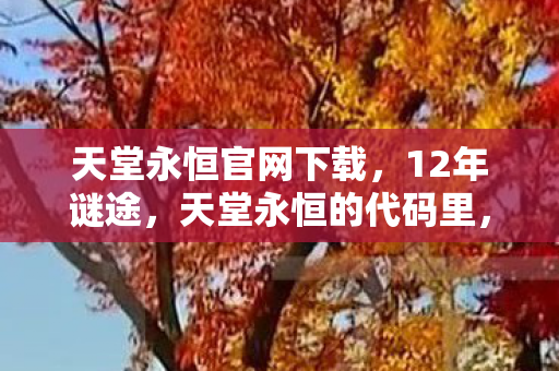 天堂永恒官网下载,12年谜途,天堂永恒的代码里,藏着多少未寄出的泪目情书? 天堂永恒官网下载,12年谜途,天堂永恒的代码里,藏着多少未寄出的泪目情书?