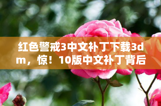 红色警戒3中文补丁下载3dm，惊！10版中文补丁背后，藏着多少红警3玩家的青春秘辛？