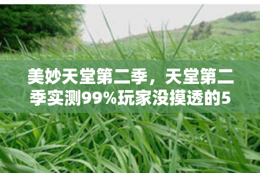 美妙天堂第二季，天堂第二季实测99%玩家没摸透的5大革新！错过这波血亏三年