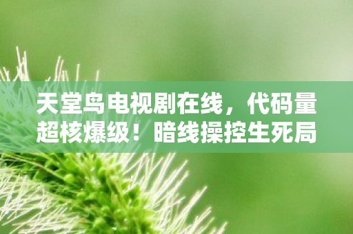 天堂鸟电视剧在线,代码量超核爆级!暗线操控生死局,头皮发麻的赛博轮回游戏 天堂鸟电视剧在线,代码量超核爆级!暗线操控生死局,头皮发麻的赛博轮回游戏