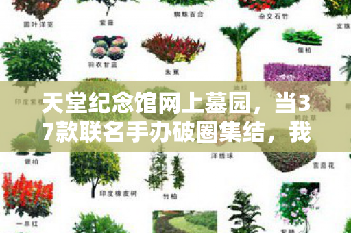 天堂纪念馆网上墓园,当37款联名手办破圈集结,我在天堂纪念馆造了个穷疯了的茧! 天堂纪念馆网上墓园,当37款联名手办破圈集结,我在天堂纪念馆造了个穷疯了的茧!