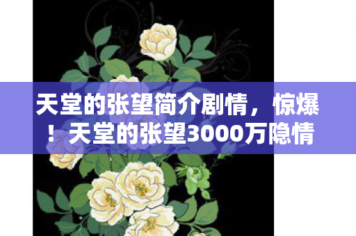 天堂的张望简介剧情，惊爆！天堂的张望3000万隐情曝光，砍玩法时真让人吓一跳！