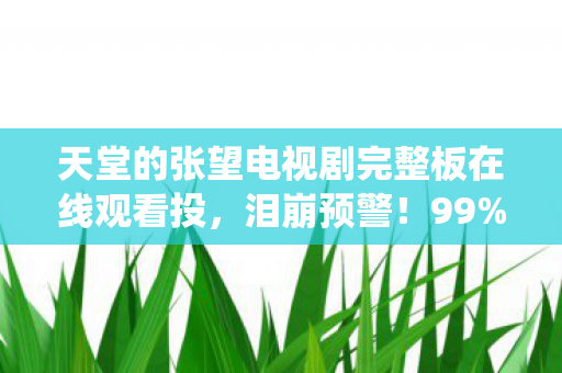 天堂的张望电视剧完整板在线观看投，泪崩预警！99%玩家在凌晨3点哭到系统卡顿的真相竟是……