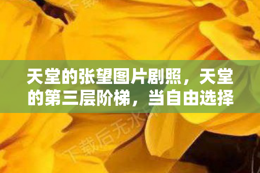 天堂的张望图片剧照，天堂的第三层阶梯，当自由选择撞碎命运的玻璃幕墙