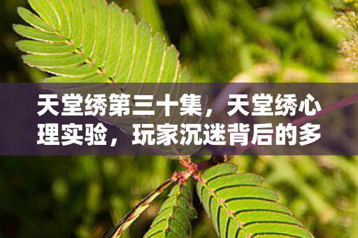 天堂绣第三十集,天堂绣心理实验,玩家沉迷背后的多巴胺陷阱,细思极恐! 天堂绣第三十集,天堂绣心理实验,玩家沉迷背后的多巴胺陷阱,细思极恐!