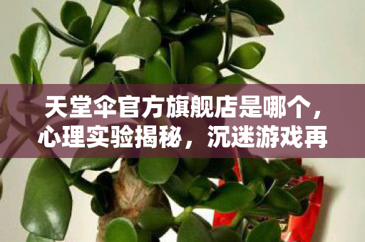 天堂伞官方旗舰店是哪个，心理实验揭秘，沉迷游戏再来一局的细思极恐真相