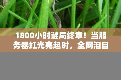 1800小时谜局终章!当服务器红光亮起时,全网泪目送别 1800小时谜局终章!当服务器红光亮起时,全网泪目送别