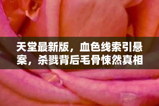 天堂最新版，血色线索引悬案，杀戮背后毛骨悚然真相