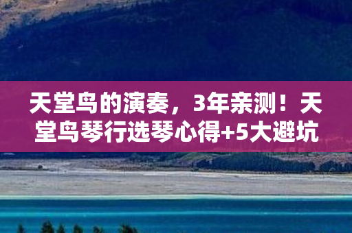 天堂鸟的演奏,3年亲测!天堂鸟琴行选琴心得+5大避坑指南,新手必看! 天堂鸟的演奏,3年亲测!天堂鸟琴行选琴心得+5大避坑指南,新手必看!