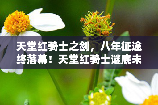 天堂红骑士之剑，八年征途终落幕！天堂红骑士谜底未解，泪目见证传奇谢幕