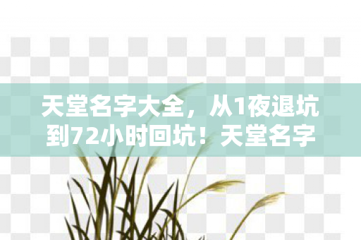 天堂名字大全,从1夜退坑到72小时回坑!天堂名字的魔力让我彻底沦陷 天堂名字大全,从1夜退坑到72小时回坑!天堂名字的魔力让我彻底沦陷
