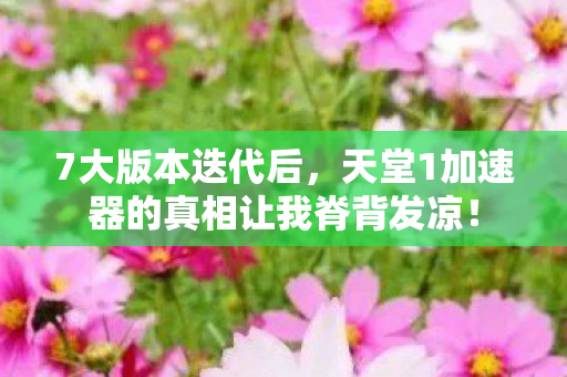 7大版本迭代后,天堂1加速器的真相让我脊背发凉! 7大版本迭代后,天堂1加速器的真相让我脊背发凉!