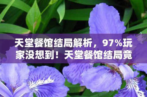 天堂餐馆结局解析,97%玩家没想到!天堂餐馆结局竟因平台差异体验天差地别? 天堂餐馆结局解析,97%玩家没想到!天堂餐馆结局竟因平台差异体验天差地别?