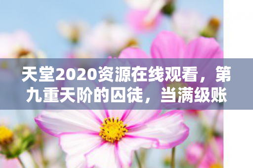 天堂2020资源在线观看，第九重天阶的囚徒，当满级账号成为现实废墟的墓志铭