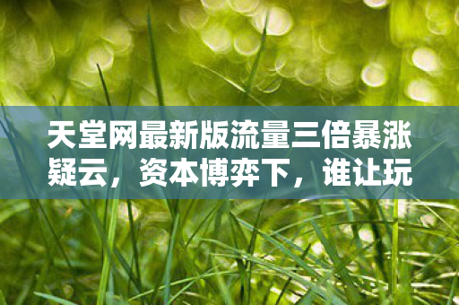 天堂网最新版流量三倍暴涨疑云,资本博弈下,谁让玩家心寒至极? 天堂网最新版流量三倍暴涨疑云,资本博弈下,谁让玩家心寒至极?