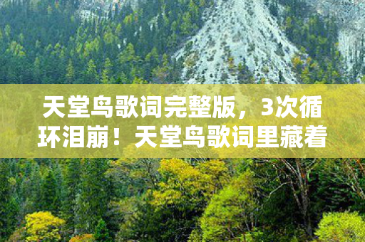 天堂鸟歌词完整版,3次循环泪崩!天堂鸟歌词里藏着的10种极致孤独与救赎 天堂鸟歌词完整版,3次循环泪崩!天堂鸟歌词里藏着的10种极致孤独与救赎