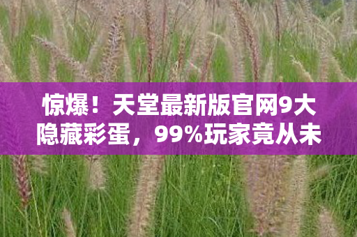 惊爆!天堂最新版官网9大隐藏彩蛋,99%玩家竟从未发现? 惊爆!天堂最新版官网9大隐藏彩蛋,99%玩家竟从未发现?
