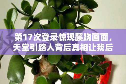 第17次登录惊现蹊跷画面,天堂引路人背后真相让我后背发凉 第17次登录惊现蹊跷画面,天堂引路人背后真相让我后背发凉