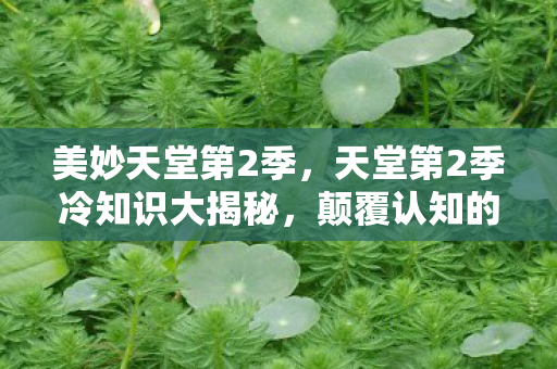 美妙天堂第2季,天堂第2季冷知识大揭秘,颠覆认知的设计,让你目瞪口呆! 美妙天堂第2季,天堂第2季冷知识大揭秘,颠覆认知的设计,让你目瞪口呆!