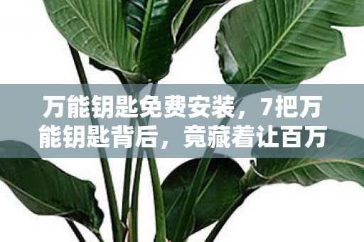 万能钥匙免费安装，7把万能钥匙背后，竟藏着让百万玩家集体破防的惊天秘密？
