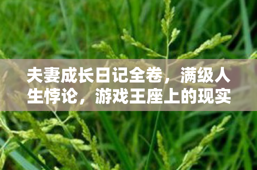 夫妻成长日记全卷,满级人生悖论,游戏王座上的现实逃兵,灵魂震颤于女儿之问 夫妻成长日记全卷,满级人生悖论,游戏王座上的现实逃兵,灵魂震颤于女儿之问